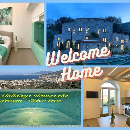 Holidays Homes The Dream Sant'Agnello Exterior photo