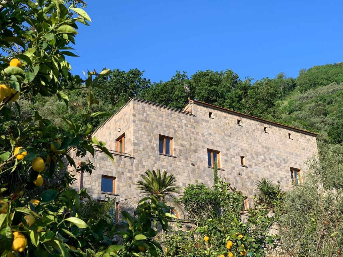 Holidays Homes The Dream Sant'Agnello Exterior photo