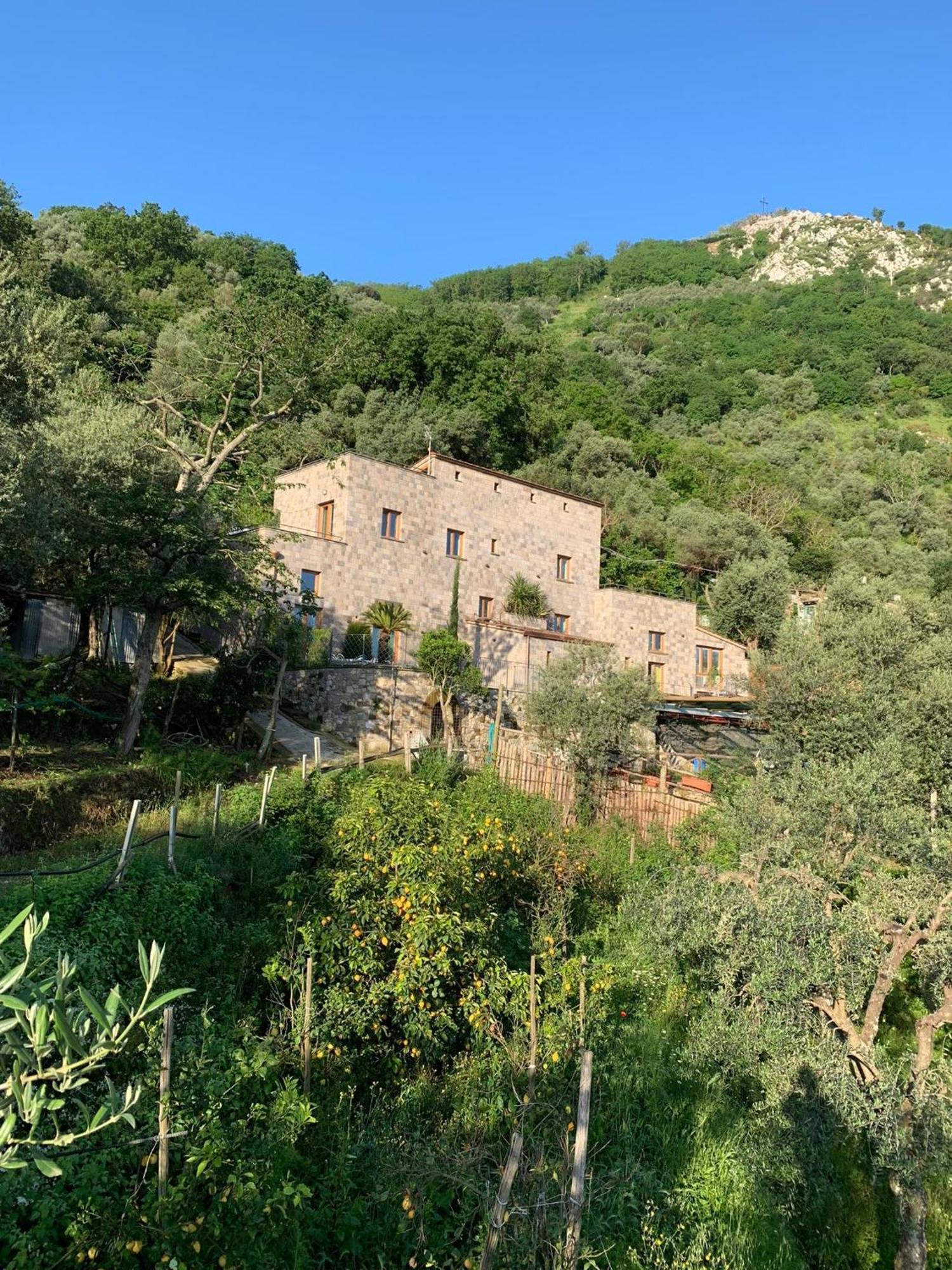 Holidays Homes The Dream Sant'Agnello Exterior photo