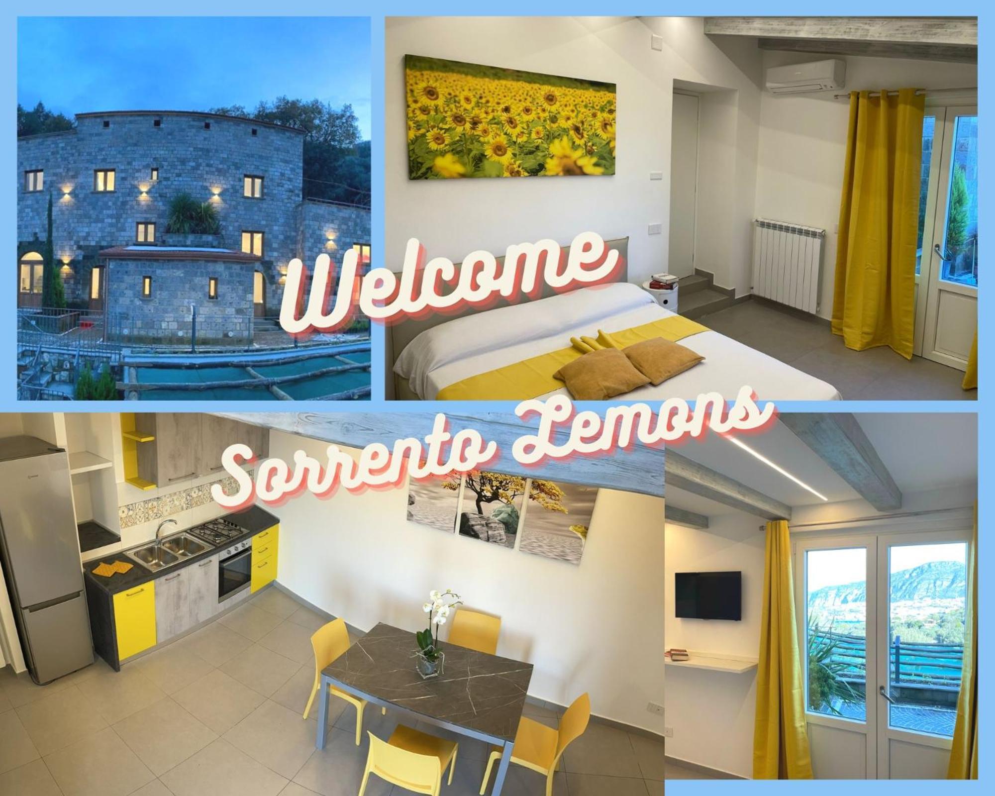 Holidays Homes The Dream Sant'Agnello Exterior photo